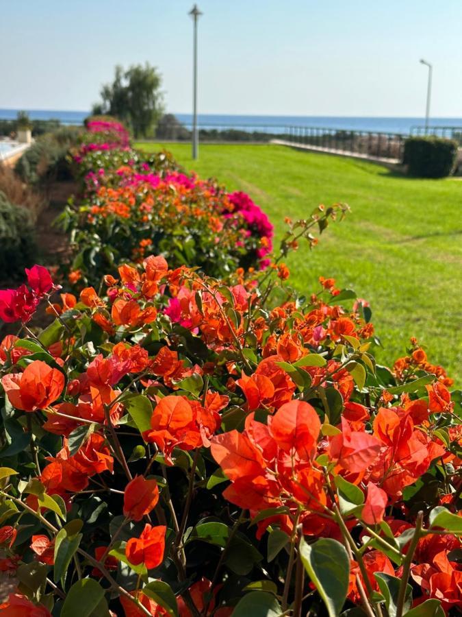 Vokolidha Green Apartment In Bafra Northern Cyprus מראה חיצוני תמונה